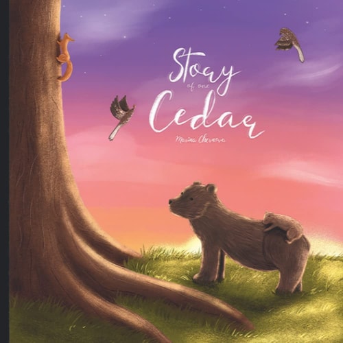 Story of One Cedar