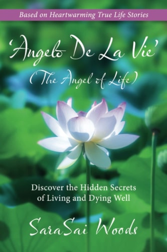 'Angelo De La Vie' The Angel of Life Discover The Hidden Secrets of Living and Dying Well