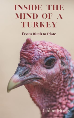 Inside the Mind of a Turkey From Birth to Plate