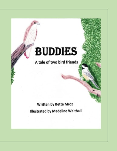 Buddies A Tale of Two Bird Friends