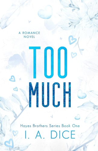 Too Much Hayes Brothers Book 1
