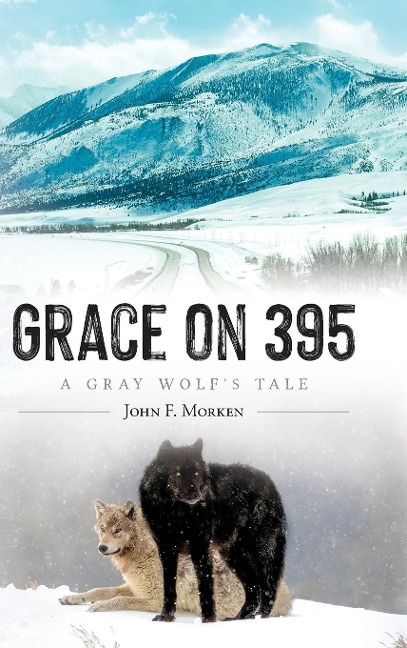 Grace on 395: A Gray Wolfs Tale