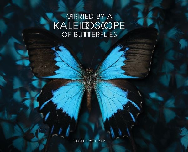 Carried by a Kaleidoscope of Butterflies