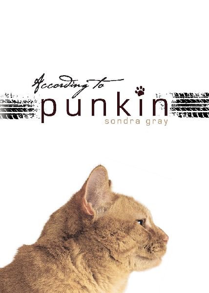 According to Punkin
