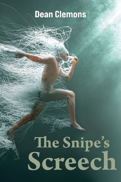 The Snipes Screech