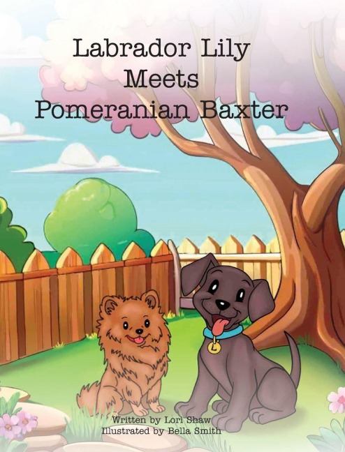 Labrador Lily Meets Pomeranian Baxter