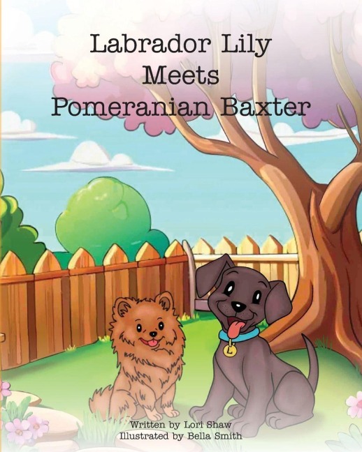 Labrador Lily Meets Pomeranian Baxter