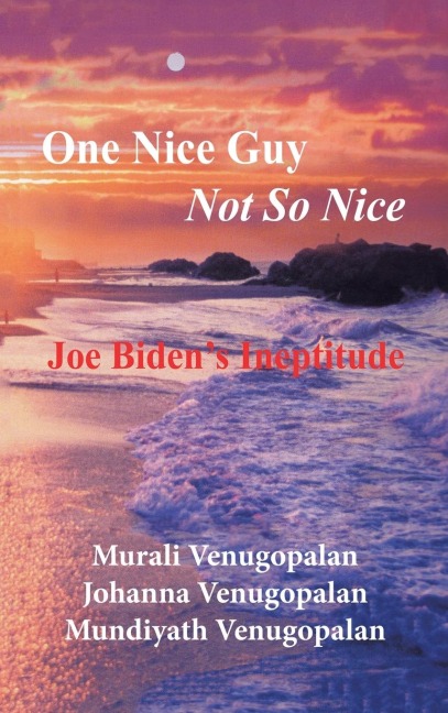 One Nice Guy   Not so Nice: Joe Biden's Ineptitude