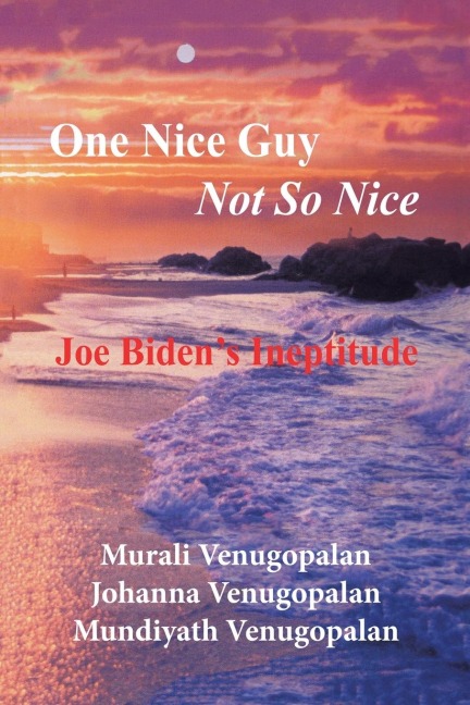 One Nice Guy   Not so Nice: Joe Biden's Ineptitude