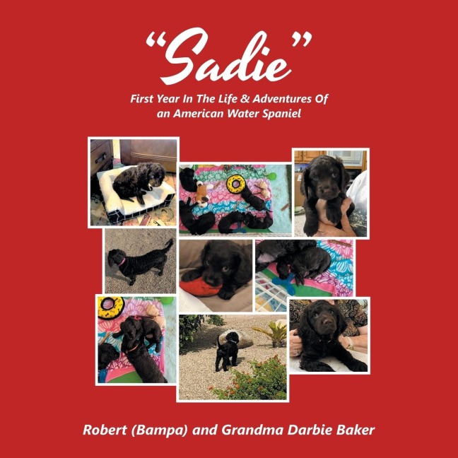 Sadie: First Year In The Life & Adventures Of an American Water Spaniel