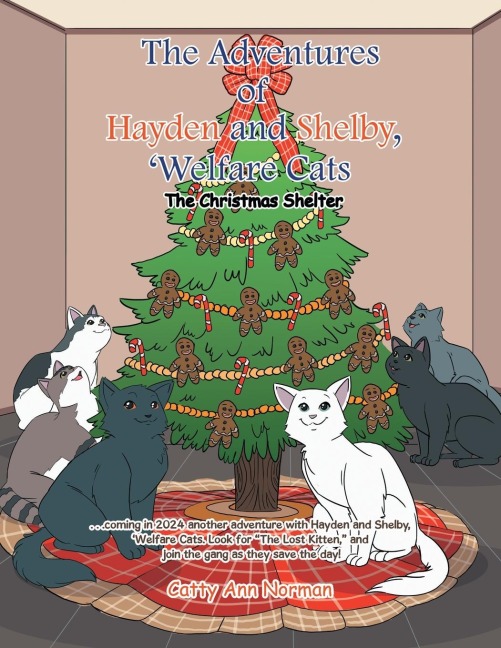 The Adventures of Hayden and Shelby, Welfare Cats: The Christmas Shelter