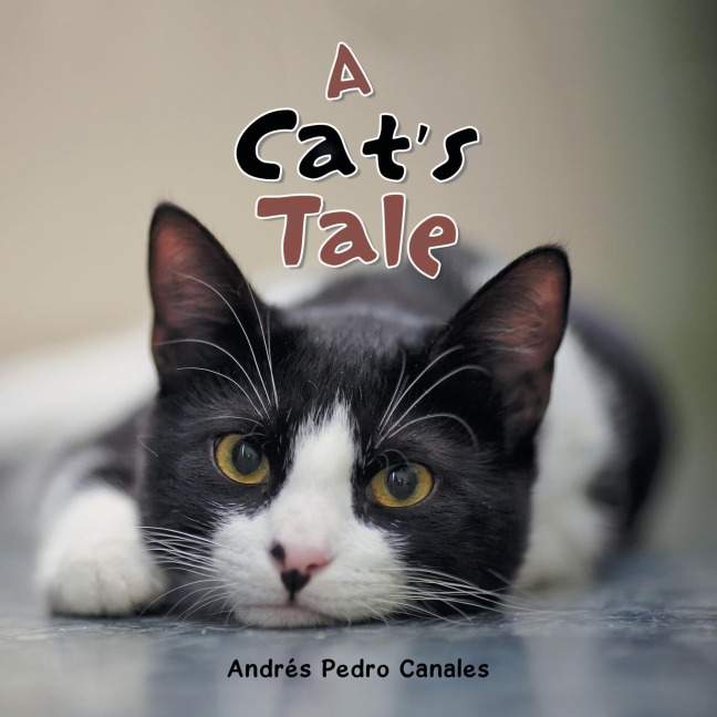 A Cat's Tale
