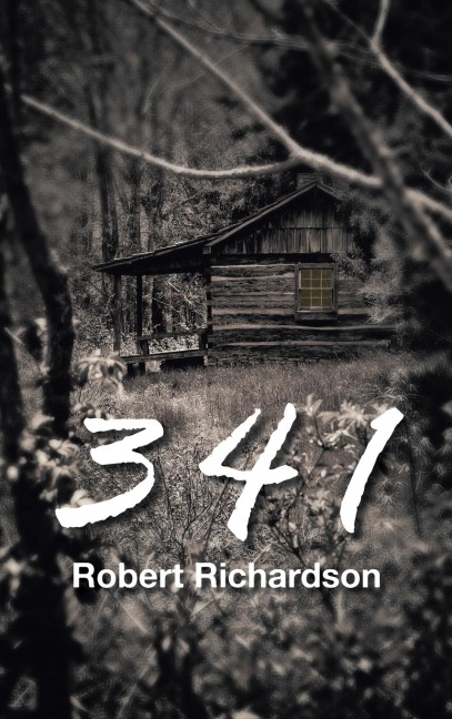 3 4 1