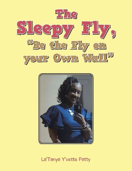 The Sleepy Fly, Be the Fly on your Own Wall
