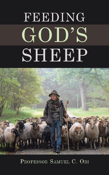 Feeding Gods Sheep