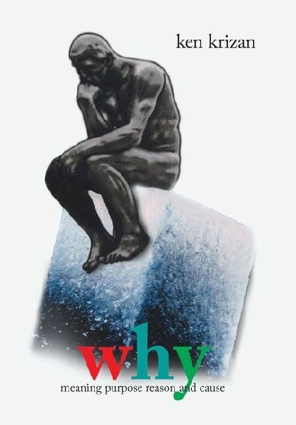 why: meaning purpose reason and cause