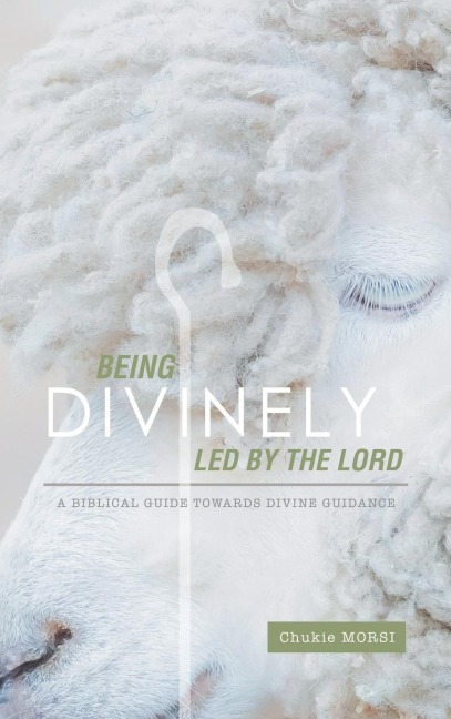 Being Divinely Led by the Lord: A Biblical Guide Towards Divine Guidance