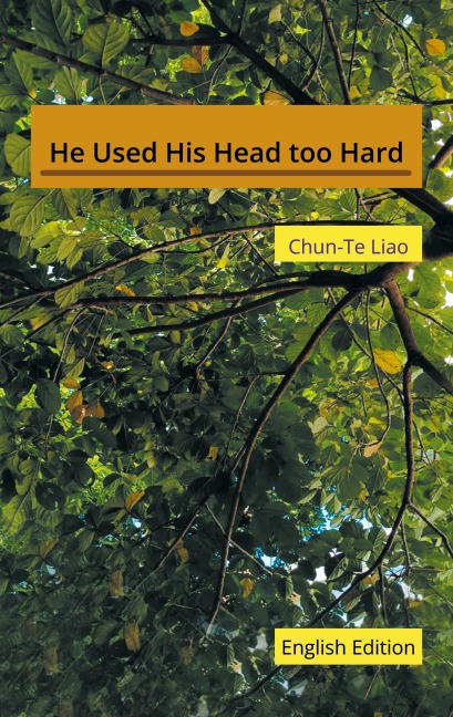 He Used His Head too Hard: English Edition