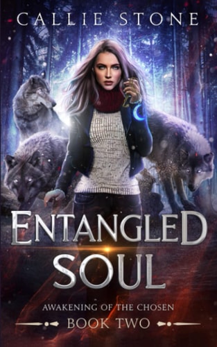 Entangled Soul A Rejected Mates Shifter Romance