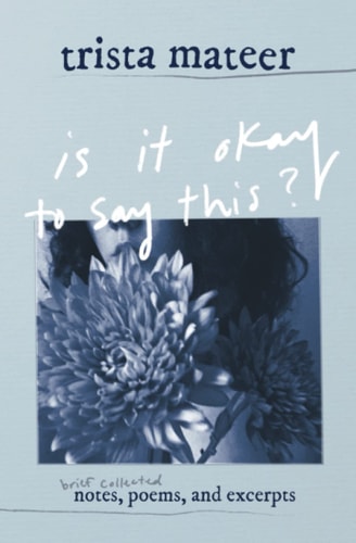 Is it Okay to Say This? Brief Collected Notes, Poems, and Excerpts