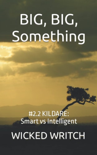 Big, Big, Something Kildare: Smart Vs Intelligent by Wicked Writch