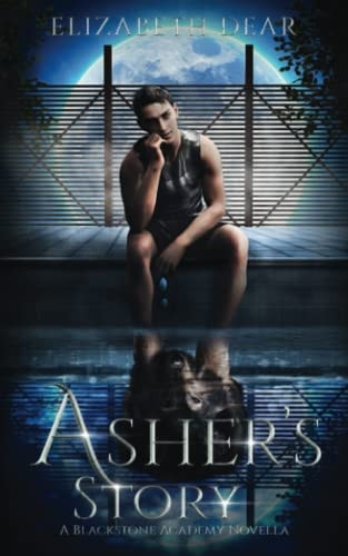 Asher's Story A Blackstone Academy Novella