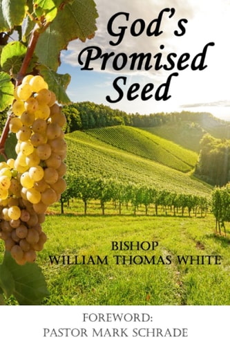 God's Promised Seed Book Studies of Jesus the Christ
