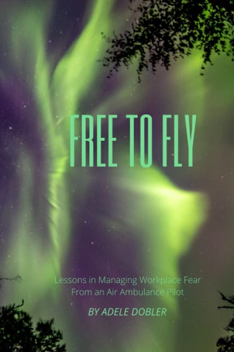 Free to Fly Lessons in Managing Workplace Fear From an Air Ambulance Pilot