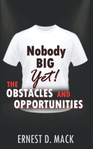 Nobody Big Yet The Obstacles and Opportunities