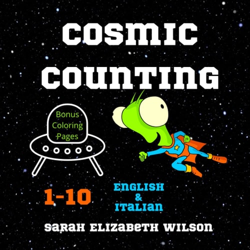 Cosmic Counting