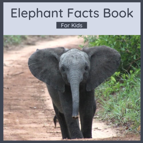 Elephant Facts Book For Kids 50 Elephant Facts