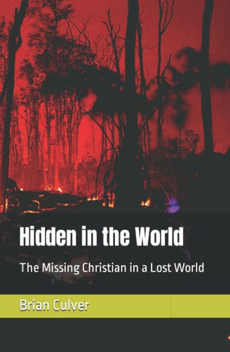 Hidden in the World The Missing Christian in a Lost World