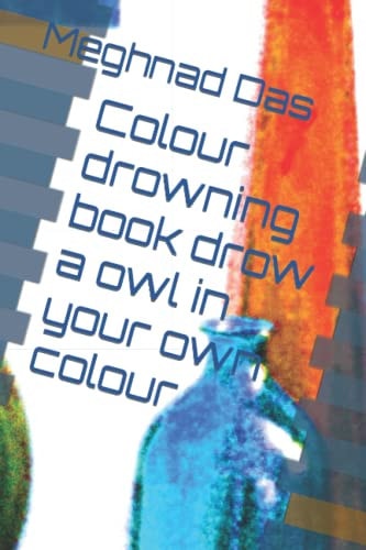 Colour Drowning Book Drow a Owl in Your Own Colour