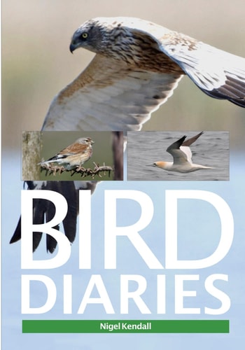 Bird Dairies