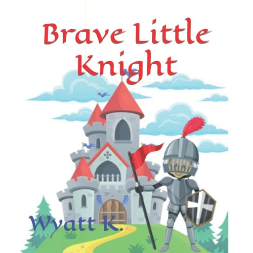 Brave Little Knight