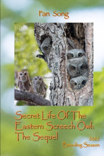 The Sequel Secret Life Of The Eastern Screech Owls Breeding Season 2022