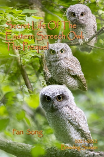 Secret Life of the Eastern Screech Owl - The Prequel Breeding Season 2021-2022