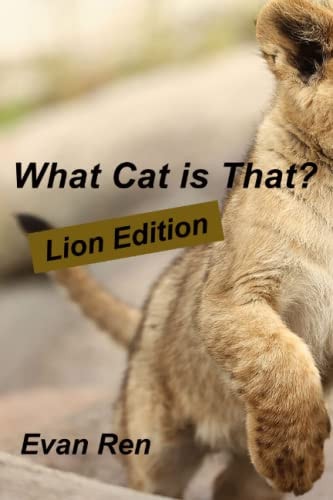What Cat is That? Lions