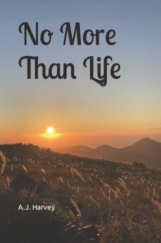 No More Than Life