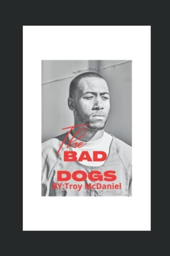 The Bad Dogs Experience is the Best Mentor
