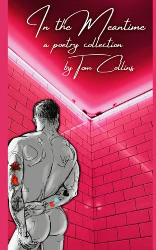In the Meantime A Poetry Collection