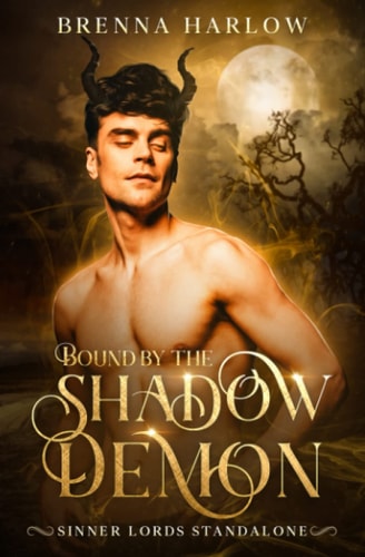 Bound by the Shadow Demon Sinner Lords Standalone #2