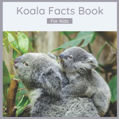 Koala Facts Book For Kids 50 Fun And Interesting Koala Facts