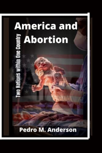 America and Abortion Two Nations Within One Country