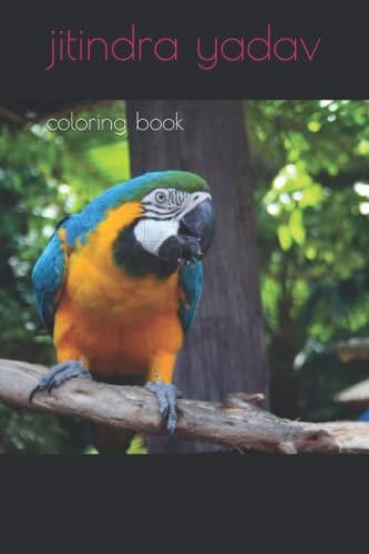 Coloring Book