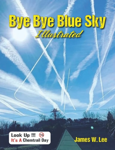 Bye Bye Blue Sky Illustrated Black and White