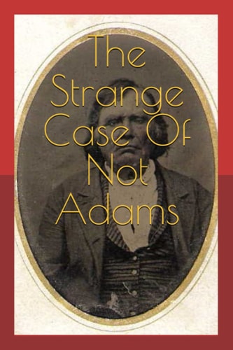 The Strange Case Of Not Adams Arson, Power, and Politics in Civil War Era Patrick County Virginia