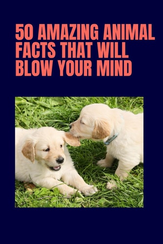 50 Amazing Animal Facts that Will Blow Your Mind. Animal Facts that Will Amaze You.