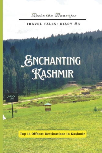 Enchanting Kashmir Travel Tales: Diary #3