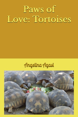 Paws of Love Tortoises